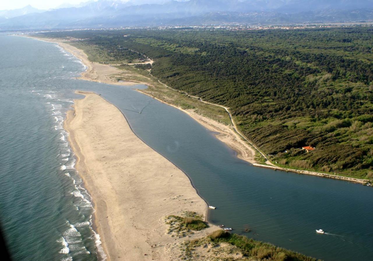 Villa Alcione Forte dei Marmi Eksteriør bilde