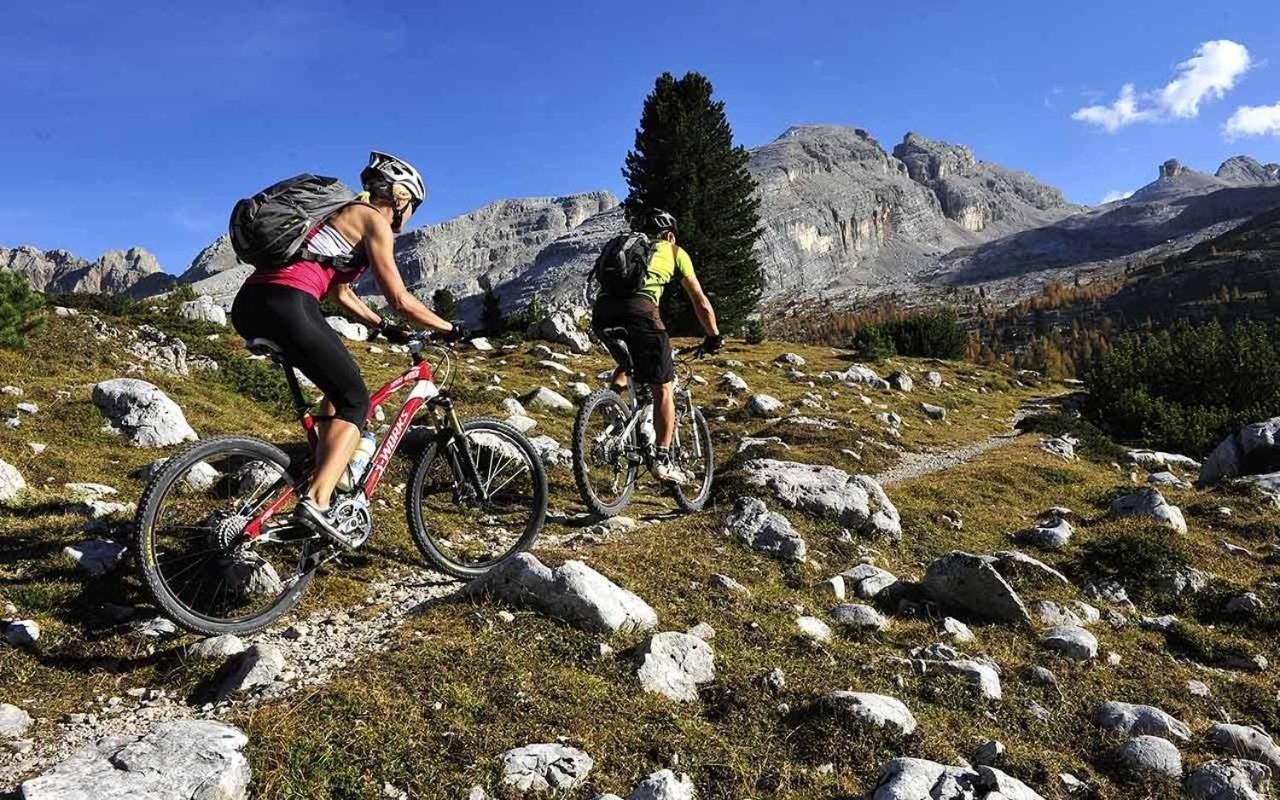Villa Alcione Forte dei Marmi Eksteriør bilde